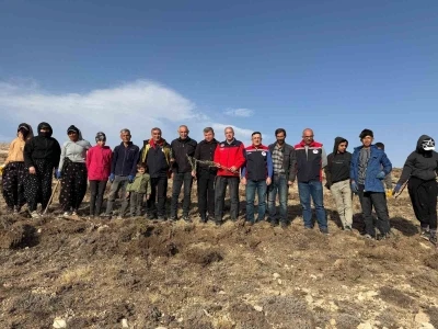 Sivas’ta meralar on binlerce tuz çalısı ile yeşerecek
