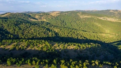 Sivas&rsquo;ta ormanlık alanlara giriş yasaklandı
