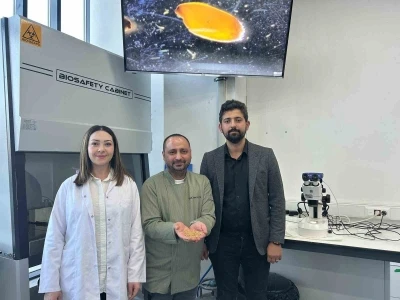 Sivas’ta yerli zeron buğdayından organik bulgur üretildi
