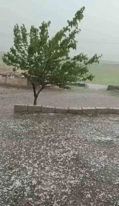 Siverek&rsquo;te ceviz b&uuml;y&uuml;kl&uuml;ğ&uuml;nde dolu yağdı
