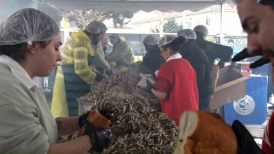 Soğuğa aldırış etmeyen vatandaşlar Balık Festivali&rsquo;ne koştu
