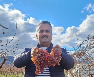 Soğuğa dayanıklı kazancı y&uuml;ksek
