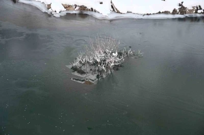 Soğuk hava Habur &Ccedil;ayı&rsquo;nı dondurdu
