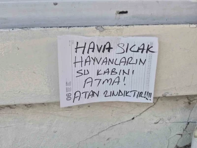 Sokak hayvanlarının su kabını atanlara ilgin&ccedil; tepki: "Atan zındıktır"
