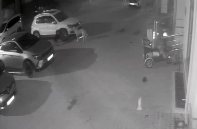 Sokak köpekleri park halindeki aracı parçaladı: O anlar kamerada

