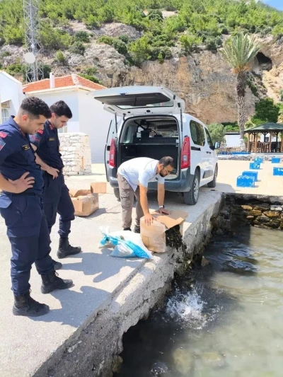 S&ouml;ke&rsquo;de ka&ccedil;ak su &uuml;r&uuml;nleri nakline ge&ccedil;it verilmedi
