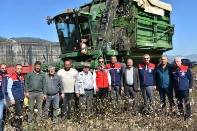 Söke Ovası’nda pamuk hasadı sürüyor
