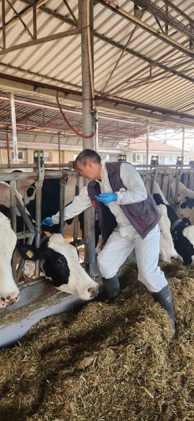 S&ouml;ke TAYEM&rsquo;de t&uuml;berk&uuml;loz ve brucella taraması yapıldı

