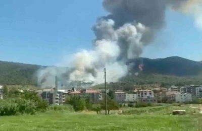 Soma’da orman yangını
