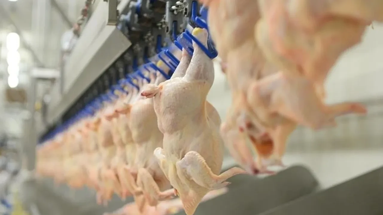 SON DAKİKA | Tavuk Eti İhracatı Durduruldu