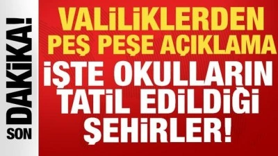 Son dakika: Valiliklerden peş peşe a&ccedil;ıklama! 14 Ocak'ta okulların tatil edildiği iller...