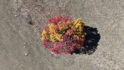 Sonbahar Karadeniz’de ilk bu köye uğruyor
