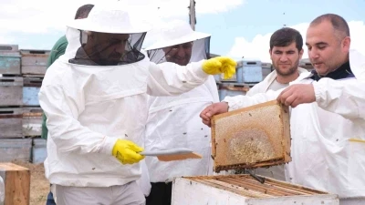 Sorgun&rsquo;da sezonun ilk bal hasadı yapıldı, Sorfest 2026&rsquo;da &lsquo;En İyi Bal&rsquo; se&ccedil;ilecek
