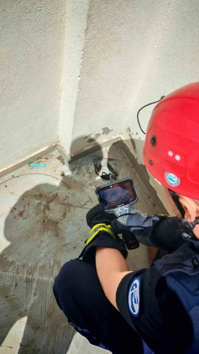 Su borusuna d&uuml;şen 3 yavru kedi itfaiye tarafından kurtarıldı
