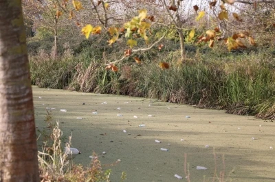 Su kanalı adeta çöplüğe döndü: Vatandaş Karasu Belediyesi’ni göreve çağırdı

