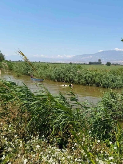 Su kanalına d&uuml;şen ineği itfaiye kurtrdı
