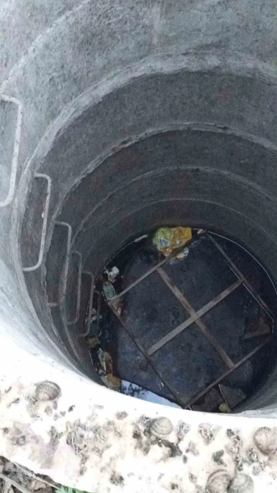 Su kuyusunda mahsur kalan yavru kedi, kurtarılarak annesine teslim edildi
