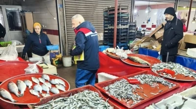 Su &uuml;r&uuml;nleri denetlendi, balık boyları tek tek &ouml;l&ccedil;&uuml;ld&uuml;
