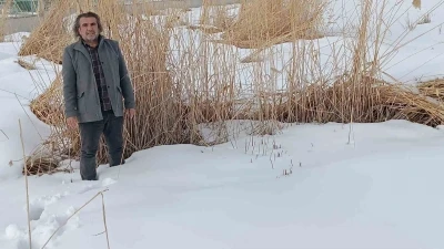 Sulak alanlar i&ccedil;in hayati &ccedil;ağrı
