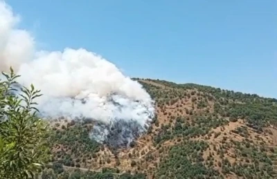 Sultanhisar&rsquo;da makilik ve orman yangını
