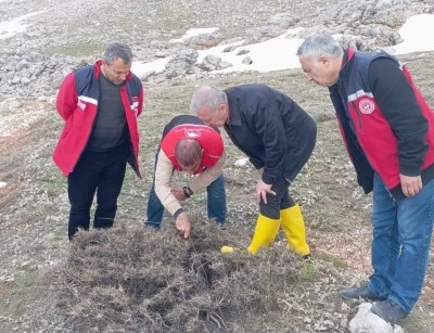 S&uuml;ne m&uuml;cadelesi i&ccedil;in ilkbahar kışlak s&uuml;rveyleri yapıldı