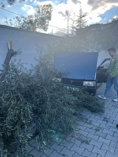 S&uuml;ratli otomobil &ouml;nce ağaca sonra duvara &ccedil;arptı
