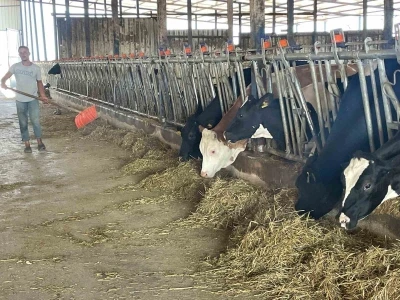 Süt üreticilerinden ’yem dayatması’na tepki
