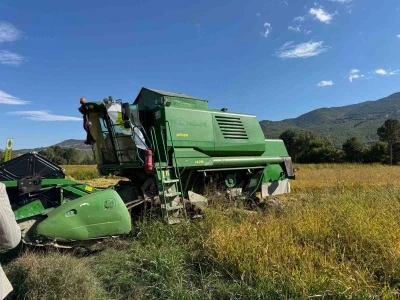 TAKE projesi kapsamında ekilen çeltiğin hasadına başlandı
