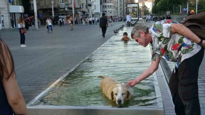 Taksim’de sıcak havadan bunalan çocuk ve köpek süs havuzunda serinledi
