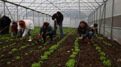 Tarım Akademisi&rsquo;nde 16-55 yaş arası aday &ccedil;ift&ccedil;ilere eğitim
