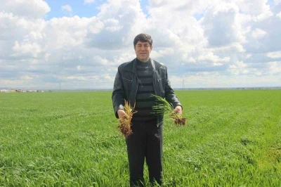 &rsquo;Tarım kenti&rsquo; Şanlıurfa yağışa doydu
