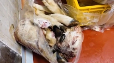 Tarım ve Orman Bakanlığı: &quot;Uygunsuzluk tespit edilen bin 316 kilogram ürün imha edildi&quot;
