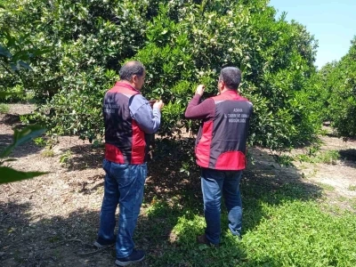 Tarımda biyolojik m&uuml;cadele seferberliği
