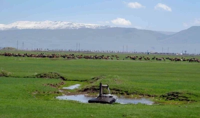 Tarımda &ouml;nder &uuml;retici modeli vurgusu
