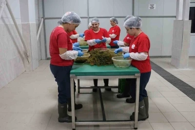 Tarımsal &Uuml;r&uuml;n Fabrikası ile kadınlar &uuml;retiyor Efeler kazanıyor

