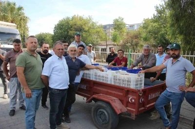 TARİŞ alımları erken kapattı, üretici tüccara tepki gösterdi
