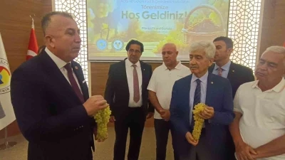 TARİŞ Üzüm Birliği Başkanı Şen: &quot;Şu an en büyük sorunumuz pazarımızı kaybetmemek&quot;

