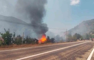 Tarlada çıkan yangın samanlığı küle çevirdi
