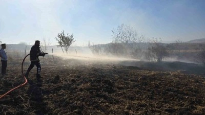 Tarlada çıkan yangın söndürüldü
