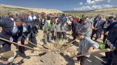 Taşınan her zeytin ağacına karşılık fidan: Milas&rsquo;ta 4 bin zeytin toprakla buluştu
