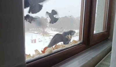 Tatvan&rsquo;da y&uuml;rekleri ısıtan davranış
