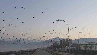 Tatvan sahilinde gökyüzünde sıra dışı manzara
