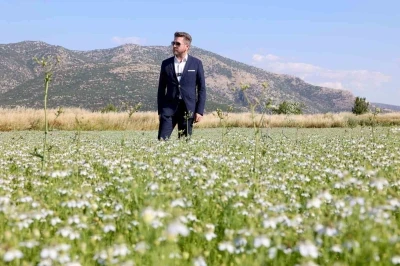 Tavas&rsquo;ta karacaot ekiminde verimlilik testi yapılıyor
