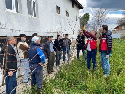 Tavşanlı&rsquo;da meyve &uuml;reticilerine budama eğitimi
