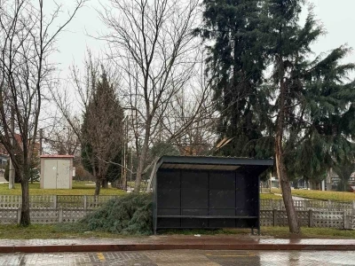 Tavşanlı&rsquo;da şiddetli r&uuml;zgar ağa&ccedil; devirdi
