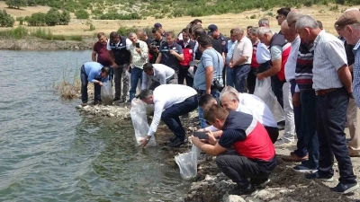 Tavşanlı g&ouml;letlerine 123 bin yavru sazan bırakıldı
