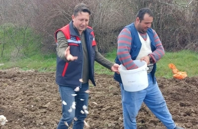 Tavşanlı &rsquo;K&ouml;pr&uuml;cek Sarımsağı&rsquo; artık &ccedil;ift&ccedil;ilere ciddi gelir sağlıyor
