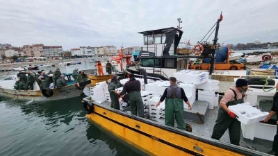 Tekirdağ a&ccedil;ıklarında torik bereketi
