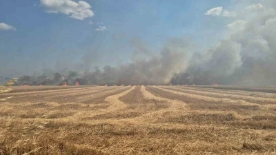 Tekirdağ&rsquo;da 2 farklı noktada &ccedil;ıkan yangın s&ouml;nd&uuml;r&uuml;ld&uuml;: 700 d&ouml;n&uuml;ml&uuml;k alan ve 20 konteyner k&uuml;l oldu
