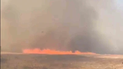 Tekirdağ’da alevler tarla ve ormanı sardı: 10 ev boşaltıldı
